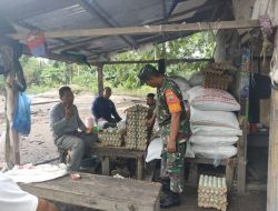 Bentuk Dukungan Usaha Warga Binaan, Babinsa Koramil 16/Tapung Anjangsana ke Peternakan Bebek