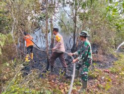 Koramil 01/Bkn dan Bhabinkamtibmas Gerak Cepat Babinsa Padamkan Kebakaran Lahan Milik Warga
