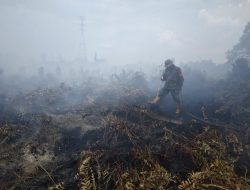 Babinsa Koramil 07/Kampar Berjibaku Bantu Padamkan Karhutla