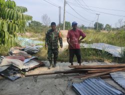 Pasca Angin Puting Beliung, Babinsa Koramil 16/Tapung Tinjau dan Bantu Warga Bersihkan Material Yang Berserakan