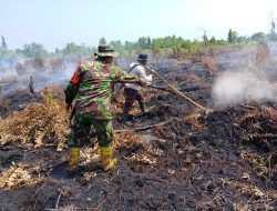 Babinsa Koramil 07/Kampar dan Tim Terpadu Karhutla Lakukan Pendinginan Lokasi Lahan Desa Rimbo Panjang