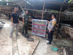 Babinsa Koramil 01/Bkn Serda Yondi Dampingi Peternak Kambing dan Sosialisasikan Pencegahan PMK