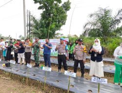 Bati Tuud Ramil 04 Wakili Danramil Hadiri Kick Off Ketahanan Pangan dan Penanaman Bibit Holtikultura