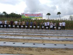 Dukung Program Asta Cita Presiden RI, Danramil 04/Pkl Kuras Hadiri Penanaman Bibit Jagung