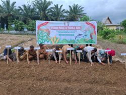 Babinsa Koramil 04/Pkl Kuras Hadiri Kegiatan Ketahanan Pangan dan Penanaman Bibit Jagung