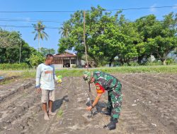 Beri Motivasi Guna Tingkatkan Kesejahteraan, Babinsa Koramil 06 Siak Hulu Komsos Bersama Petani