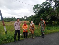Dongkrak Hanpangan, Babinsa Koramil 07/Kampar Cek Lokasi Persawahan Tadah Hujan