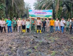 Danramil 06 Siak Hulu Hadiri Lonching Penanaman Jagung Serentak 1 Juta Hektar