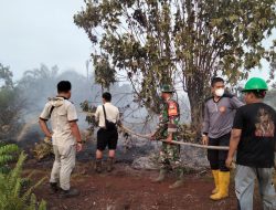 Petugas Gabungan Padamkan Karhutla di Kabupaten Rokan Hulu
