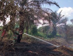 Karhutla, Koptu Alesman: Sekarang Kami Masih Melakukan Upaya Pendinginan