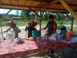 Dukung Program Ketahanan Pangan Babinsa Bantu Perawatan Tanaman Jagung