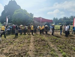 Pembukaan Penanaman Bibit Jagung Pipil Dilahan Ketahanan Pangan Polsek XIII Koto Kampar
