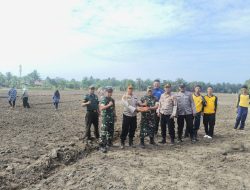 Program Swasembada Pangan Nasional, Danramil 16/Tapung Bersama Kapolsek Tapung Tanam Jagung Pipil