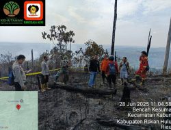 Karhutla Kembali Terjadi Dilahan Gambiran Desa Tandun