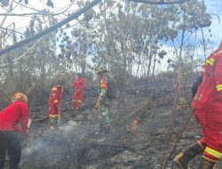 Personil Gabungan dan Babinsa Koramil 08/TDN Padamkan Kebakaran Lahan Milik Warga di Desa Binaan