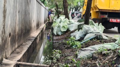 Solaria GDC Diduga Langgar Aturan, Empat Kepala Dinas Langsung Turun Tangan