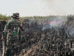 Karhutla, Peltu M. Sitepu: Hingga Sampai Saat Ini Kami Melakukan Pendinginan