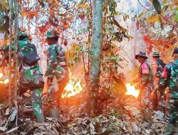 Hutan Diperbukitan Terbakar, Petugas Dari Kodim 0313/KPR Melakukan Pemadaman