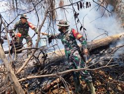 Pemadaman Karhutla di Rokan Koto Ruang Rohul,Personel TNI Hadapi Medan Terjal dan Sumber Air Terbatas