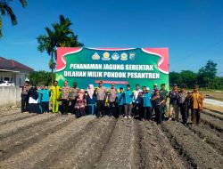 Danramil 01/Bkn Hadiri Panen Jagung Serentak, Bersama Polres Kampar Wujudkan Ketahanan Pangan