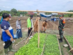Upaya Mendukung Program Pemerintah Meningkatkan Produksi Pangan, Babinsa Koramil 16/Tapung Bersama Warga Tanam Jagung