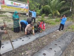 Babinsa Koramil 11/Tambusai Ikut Serta Dalam Penanaman Cabai di Tambusai Utara