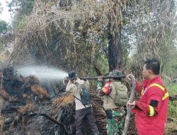 Babinsa Koramil 04/Pkl.Kuras Laksanakan Pendingunan di Titik Api Desa Kesuma