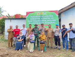 Bumdes Bina Usaha Resmi Melaksanakan Penanaman Jagung Serentak Kuartal III Dilahan Desa Pongkai