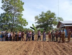 Babinsa Koramil 13/Rokan IV Koto Hadiri Penanaman Jagung Yang Diselenggarakan Oleh Bumdes