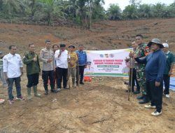 Babinsa koptu Dedi Suprapto Penanaman Bibit Jagung di Desa Lubuk Agung, XIII Koto Kampar