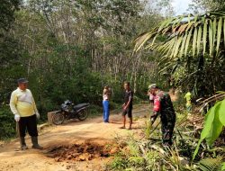 Babinsa Koramil 03/Bunut Gelar Gotong- Royong Bersama Warga di Desa Lubuk Raja