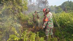 Babinsa Koramil 07/Kampar Padamkan Api Karhutla di Desa Rimbo Panjang