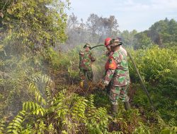Babinsa Koramil 07/Kampar Padamkan Api Karhutla di Desa Rimbo Panjang