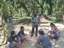 Babinsa Koramil 08/Tandun Laksanakan Komsos di Desa Tapung Jaya