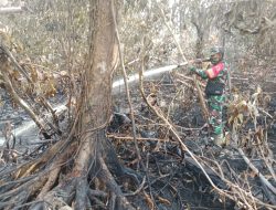 Koramil 03/Bunut Terjunkan Personel Bantu Pemadaman Karhutla di Kuala Tolam