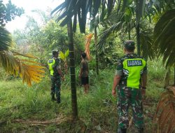 Babinsa Laksanakan Patroli dan Sosialisasi ke Masyarakat Cegah Karhutla Wilayah Koramil 14/Kepenuhan