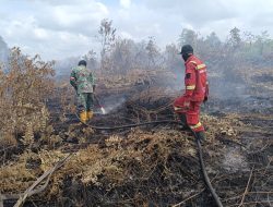 Babinsa Koramil 07/Kampar Bersama Tim Gabungan Berjibaku Padamkan Karhutla di Rimbo Panjang: Titik Api Padam, Pendinginan Intensif Terus Dilakukan