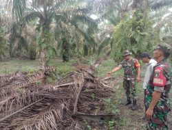 Babinsa Laksanakan Sosialisasi di Kebun Masyarakat Cegah Karhutla
