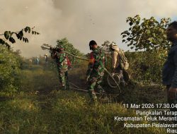 Koramil 03/Bunut Bersama Tim Gabungan Lakukan Pendinginan Karhutla di Desa Merbau Pelalawan