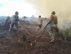 Hari Ke-4 Karhutla di Pelalawan, Personel Gabungan Berjibaku Padamkan Api di Desa Merbau