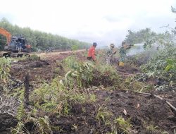 Hari ke-5 Penanganan Karhutla, Koramil 03/Bunut Bersama Tim Gabungan Lakukan Pendinginan di Desa Merbau