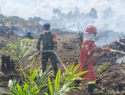 Lautan Api di Lahan Gambut Bunut: Hari Keenam Personel Gabungan Masih Berjibaku Melawan Asap