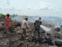 Dua Minggu Berjibaku di Lahan Gambut, Satgas Karhutla Koramil 03/Bunut Terus Perkuat Pendinginan