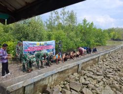 Rayakan HUT Dharma Pratiwi Ke-62, Kodim 0313/Kpr Gelar Pembersihan Pesisir dan Penanaman Mangrove di Pantai Kuala Kampar