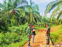 Babinsa Koramil 02 Rambah Kodim 0313/KPR Tingkatkan Patroli Kathutla