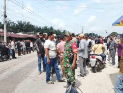 Babinsa Koramil 11/Tambusai Monitoring Sengketa Tanah Ulayat di Wilayah