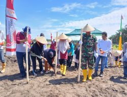 Dukung Aska Cita Swasembada Pangan, Danramil 06 Siak Hulu Bersama TNI -Polri dan Warga Hadiri Penanaman Jagung Serentak