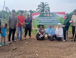 Bhabinkamtibmas Aipda Onrianto Melaksanakan Penanaman Jagung Pipil Kuartal II Didesa Pongkai