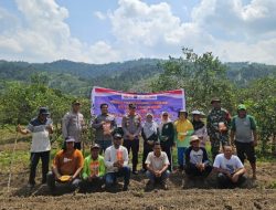 Kapolsek XIII Koto Kampar Bersama Kanit Binmas Melaksanakan Penanaman Jagung Pipil Kuartal 1 Didesa Tanjung