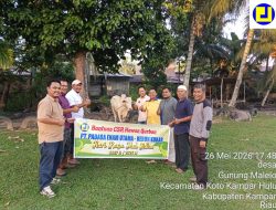PT. Padasa Enam Utama Kokar Serahkan 1 Ekor Sapi Hewan Kurban Didesa Gunung Malelo,Kades Ucapkan Terima Kasih